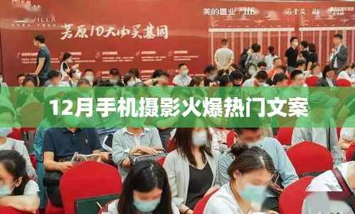 12月手机摄影热潮,捕捉瞬间的魅力