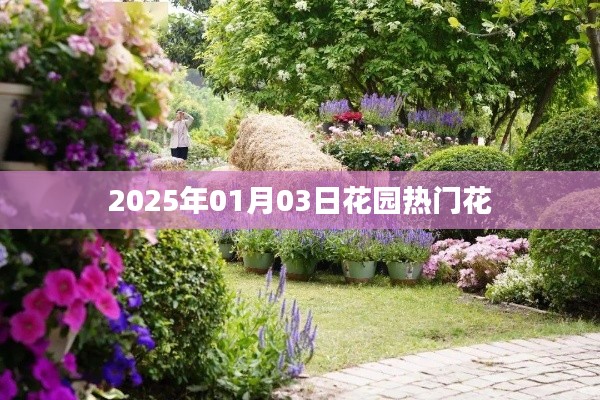 花园热门花卉盘点,展望2025年一月花开