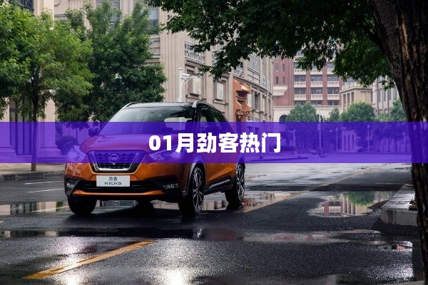 劲客风采,一月热门车型大解密