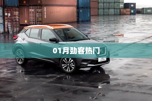 劲客风采,一月热门车型大解密