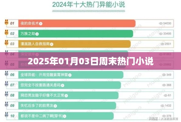 『周末必读,2025年热门小说一览』