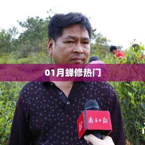 一月蝉修大热,修炼指南助你入门!