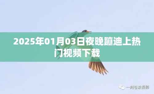 热门蹦迪视频下载，跨年狂欢夜舞风潮