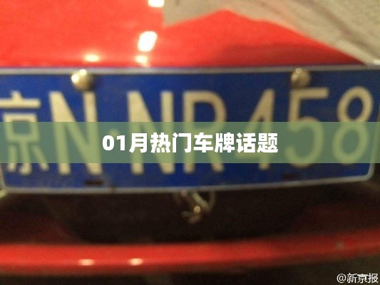 热门车牌话题热议不断