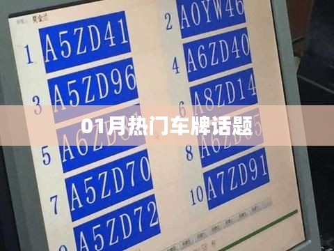 热门车牌话题热议不断