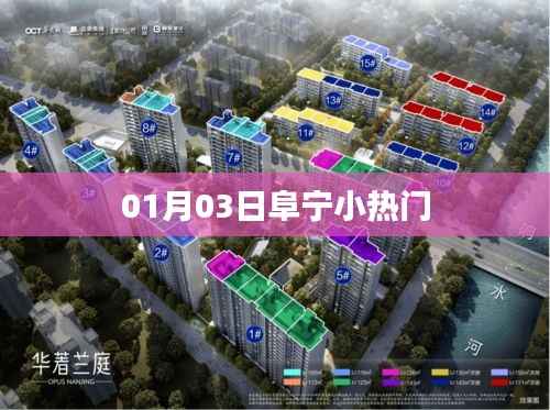 阜宁小热门资讯，最新消息速递