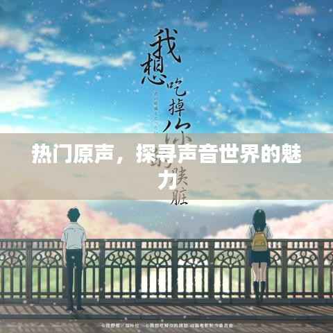 热门原声,声音魅力的探寻之旅