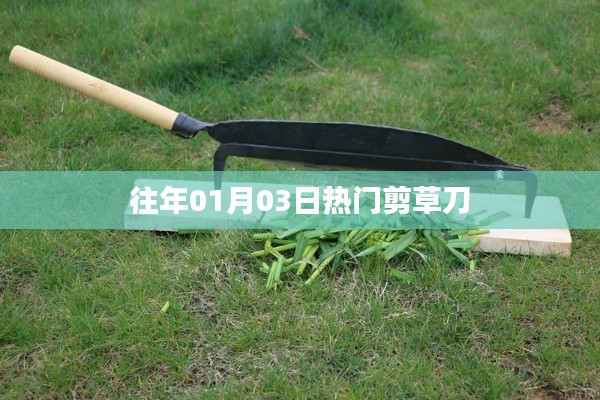 历年一月初热门剪草刀推荐