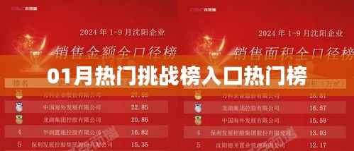 01月热门挑战榜入口,热门榜单全解析