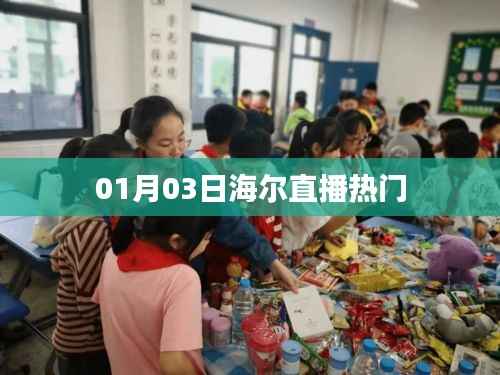 海尔直播热门动态解析