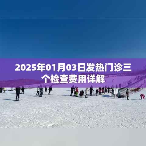 2025年1月3日发热门诊三项检查费用解析