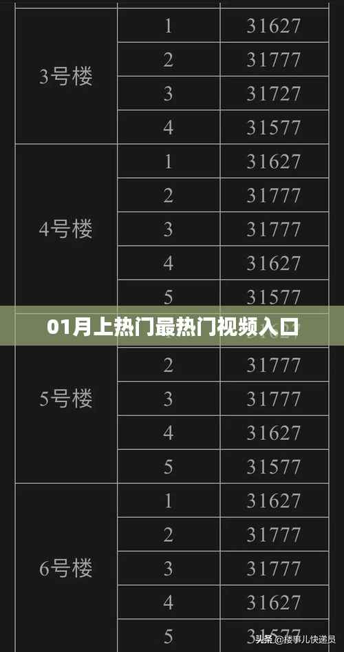 热门视频推荐,精选一月最火视频入口