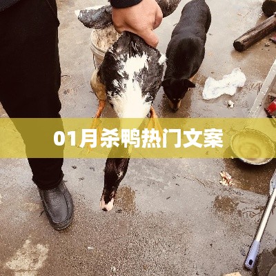 一月杀鸭狂欢文案