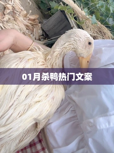 一月杀鸭狂欢文案