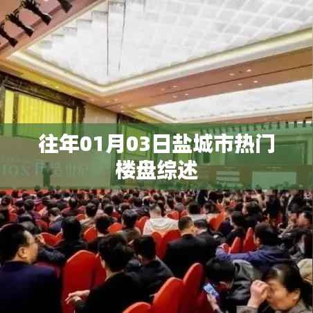 盐城市热门楼盘综述,历年一月初的楼市热点解析