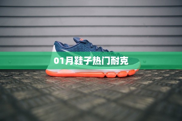 耐克一月热门鞋款盘点