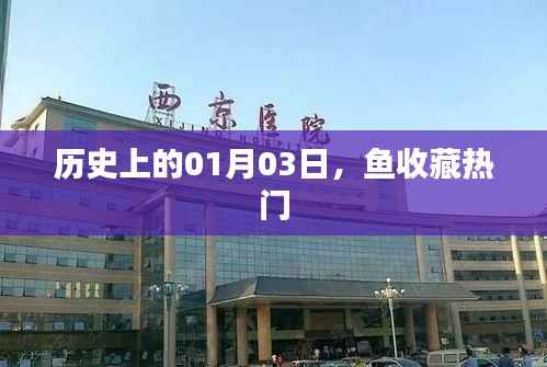历史上的今天,一月三日鱼收藏热门事件回顾