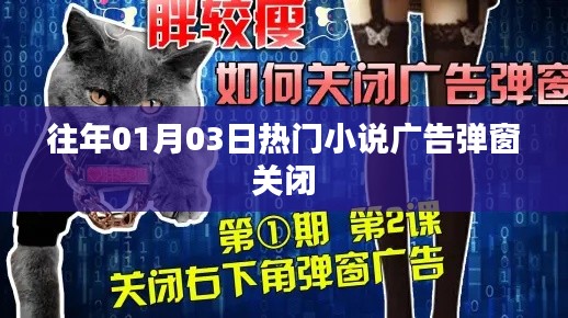 「往年元旦热门小说弹窗关闭指南」