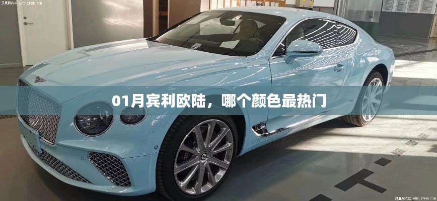 宾利欧陆热门颜色推荐