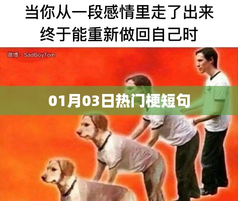 每日热梗速递,精选短句,01月03日最新流行梗