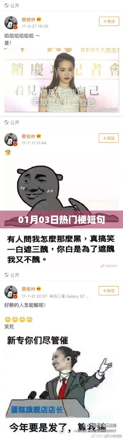 每日热梗速递,精选短句,01月03日最新流行梗