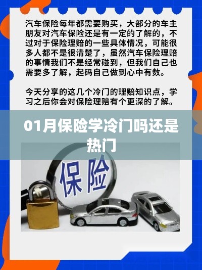 保险学是冷门还是热门专业?深度解析