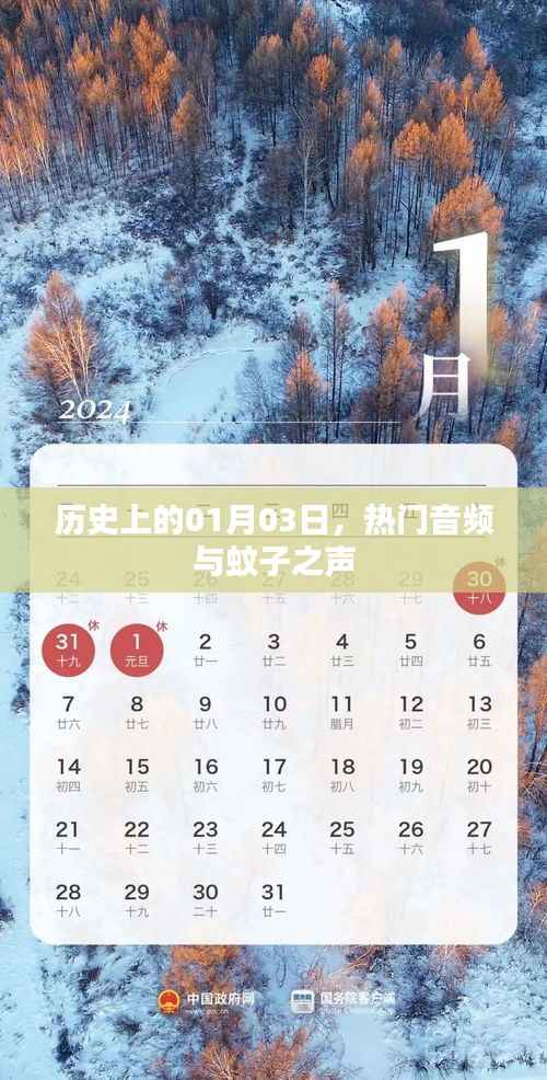 热门音频与蚊子之声,历史上的今天回顾