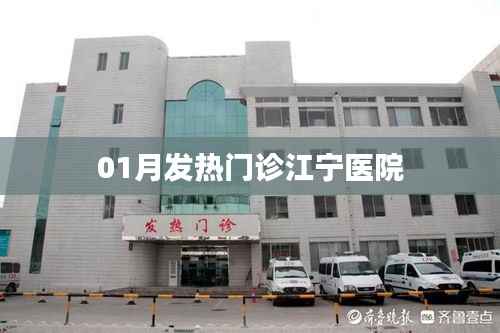 江宁医院发热门诊一月情况概览