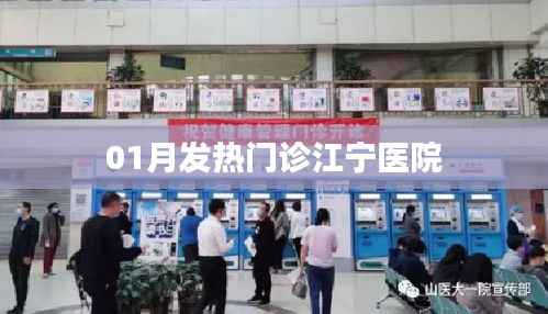江宁医院发热门诊一月情况概览