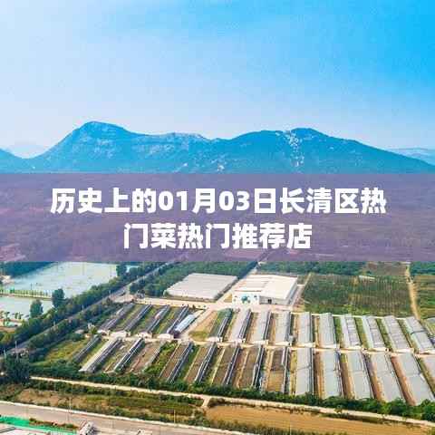 长清区热门菜推荐店,历史一月三日美食榜单