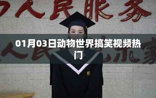 动物世界搞笑视频盘点,热门笑料一网打尽