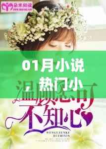 热门小白小说,一月精彩连载抢先看