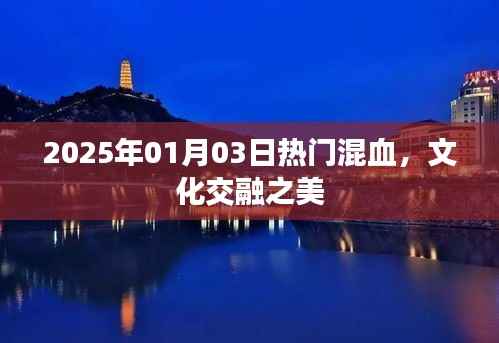 2025年文化交融之美,混血风潮席卷全球