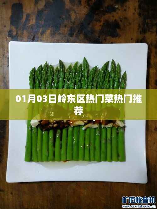 岭东区热门菜推荐榜(最新更新日期)