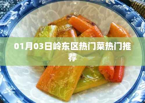 岭东区热门菜推荐榜(最新更新日期)