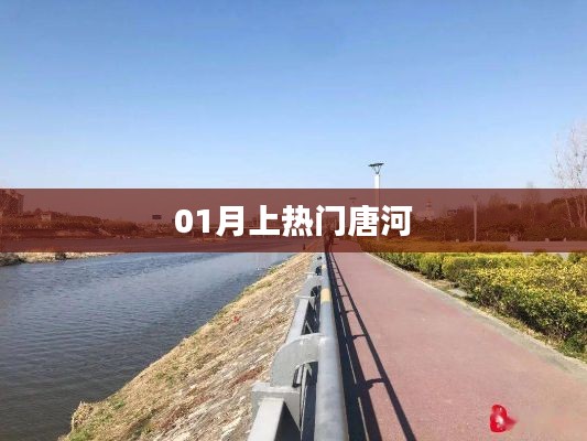 唐河成热门话题热议焦点