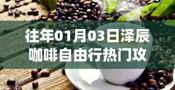 泽辰咖啡自由行,热门攻略抢先看