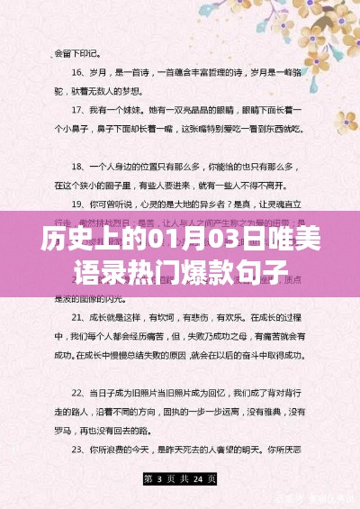 精选历史唯美语录,一月三日热门爆款句子