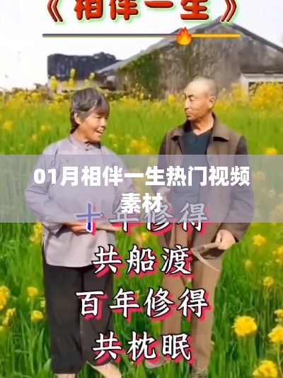 相伴一生热门视频素材,精选优质内容分享