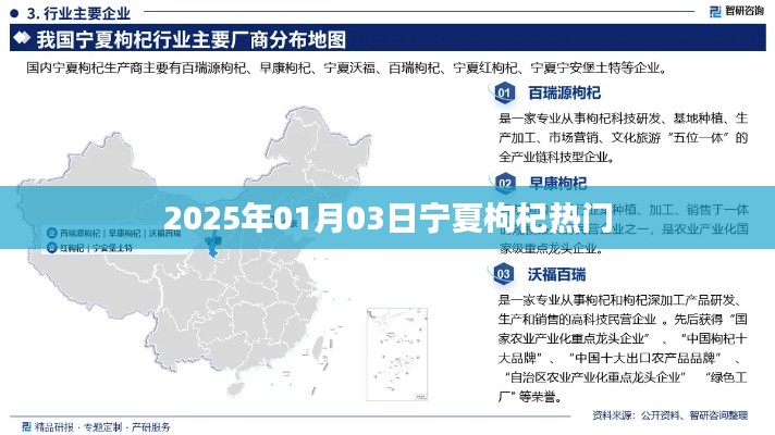 宁夏枸杞热门，探寻未来趋势，2025年1月3日观察