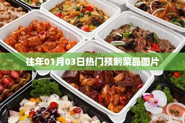 精选预制菜品图片，回顾历年热门美食瞬间