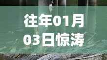 惊涛鳄浪自由行,热门攻略揭秘