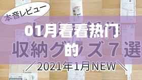 热门趋势大揭秘,一月份热门看点
