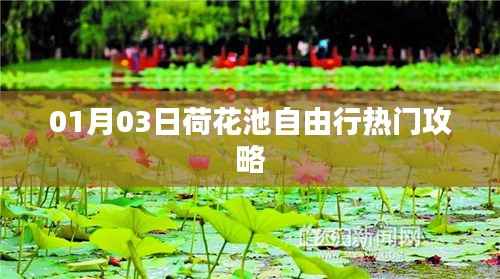 荷花池自由行攻略,热门景点一日游