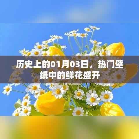 1月3日历史上的鲜花盛开壁纸热门盘点