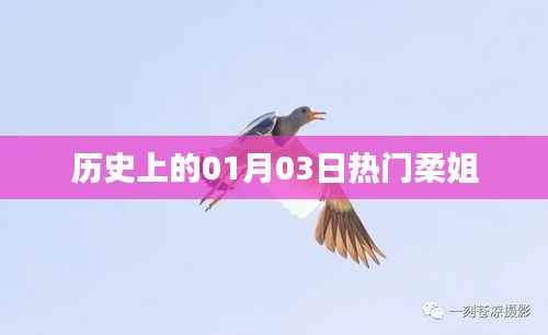 热门柔姐，历史上的重要时刻回顾