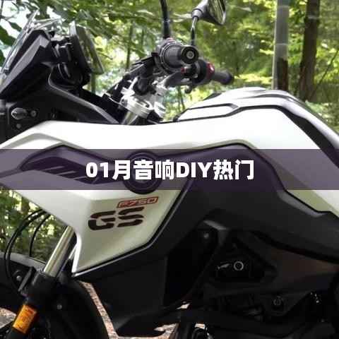 01月音响DIY热门指南