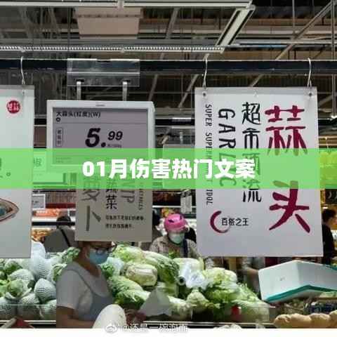 一月伤感流行文案盘点