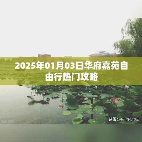 华府嘉苑自由行指南,热门攻略揭秘