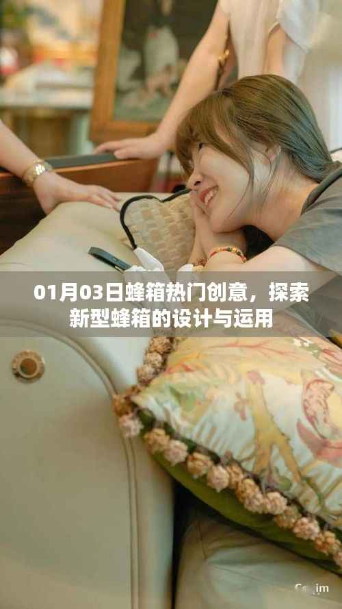 蜂箱热门创意探索,新型设计与运用